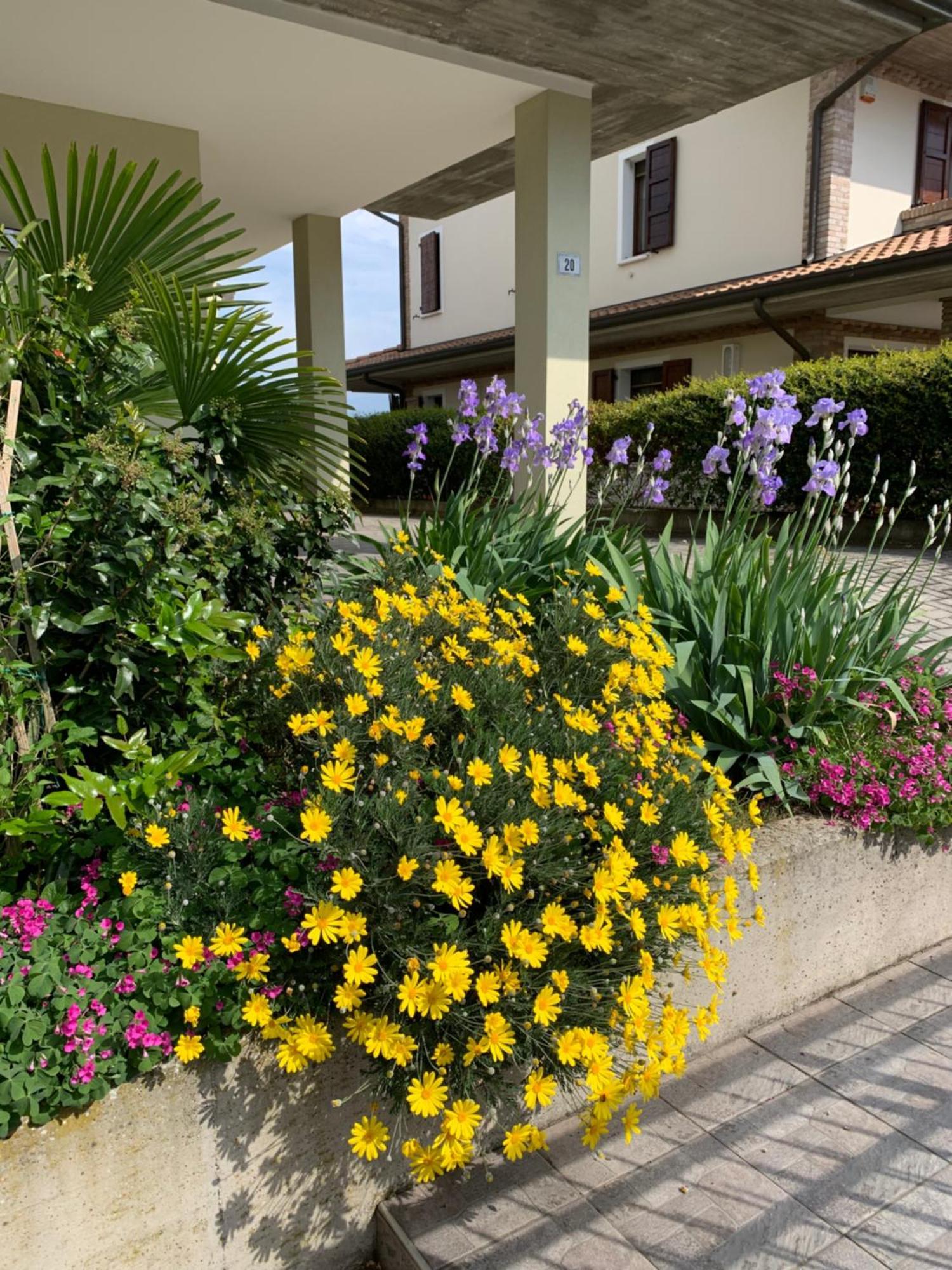 B&B La Salina Cannuzzo Экстерьер фото